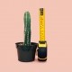 How to measure the success of succession planning