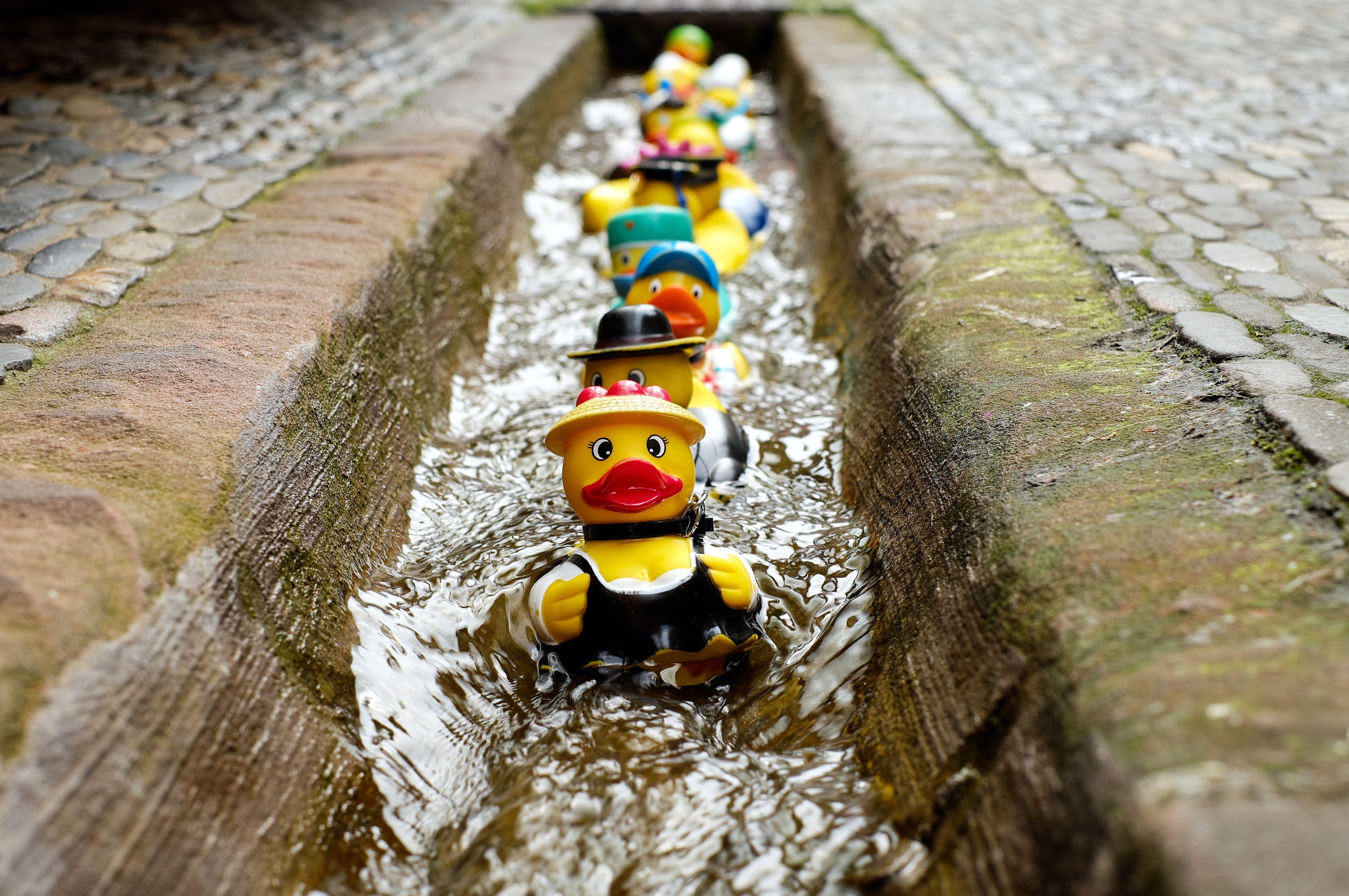 Succession planning market intelligence