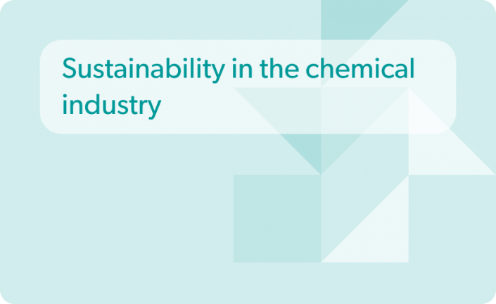 Sustainability in the chemical industry